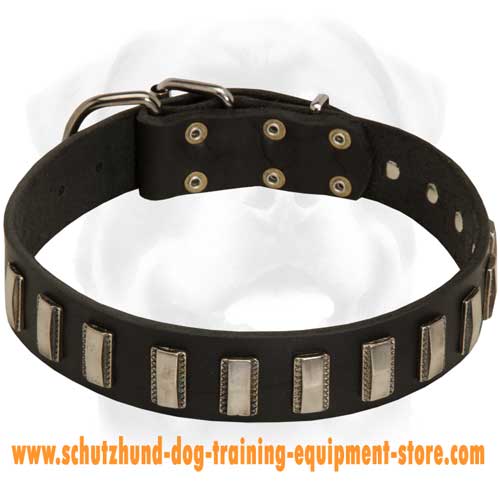 Ornament Leather Dog Collar