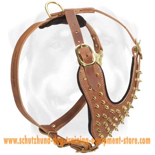 Leather Spiked Dog Harness