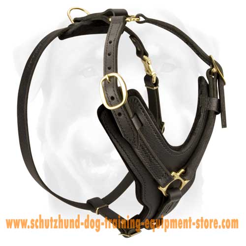 Fair Leather Dog Harness With Y-shaped Plate For Working Dogs