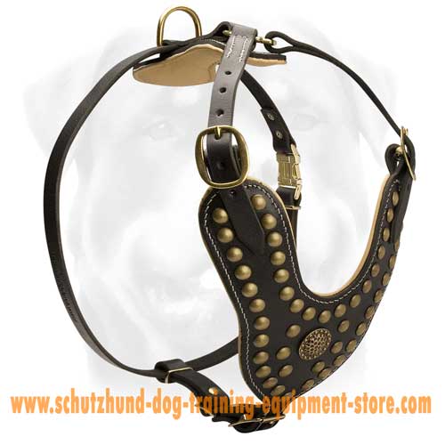 Royal Studded Leather Dog Harness