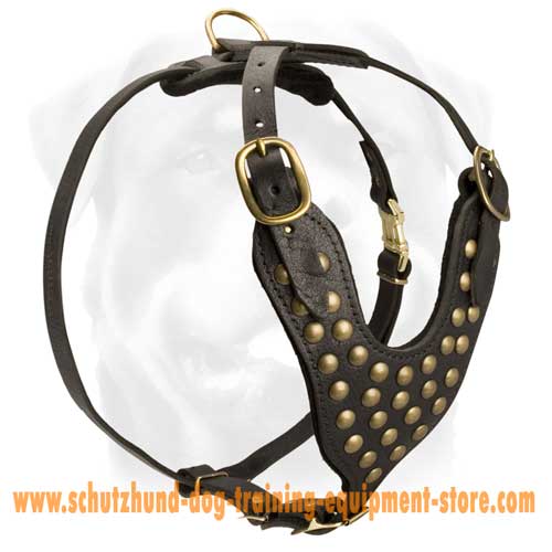 Handmade Studded Leather Walking Dog Harness