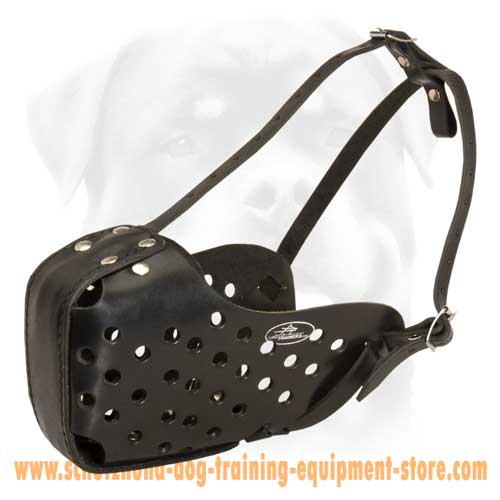 Special Training Leather Dog Muzzle