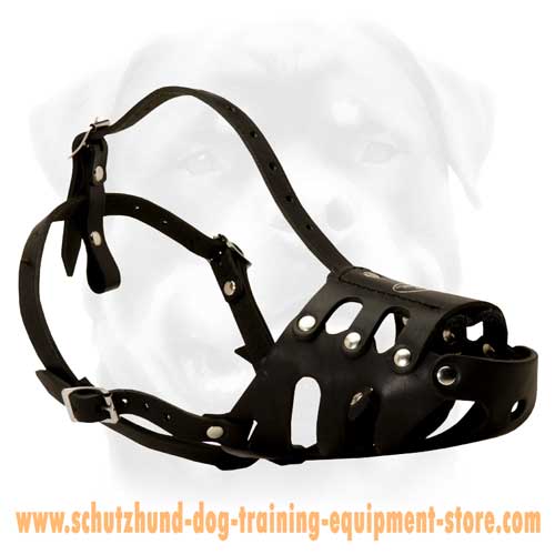 Great Leather Dog Muzzle For Active Dogs