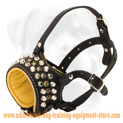Fine Leather Dog Muzzle With Cones And Studs
