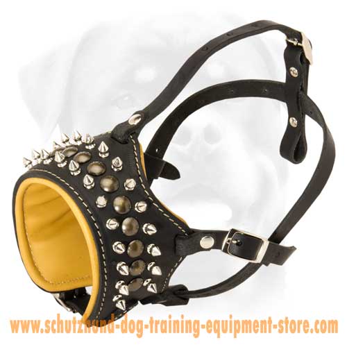 Amazing Leather Dog Muzzle