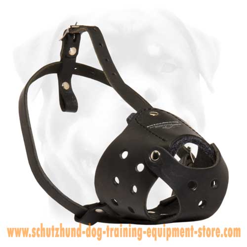 Safe Leather Dog Muzzle