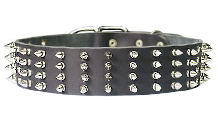 2 inch wide Leather Spiked Dog Collar for working dogs