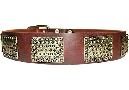 Luxury Leather Dog Collar for Working Dogs