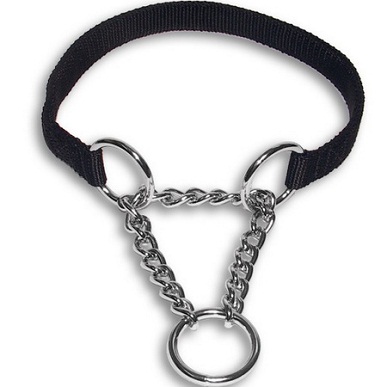 Martingale Training Collar