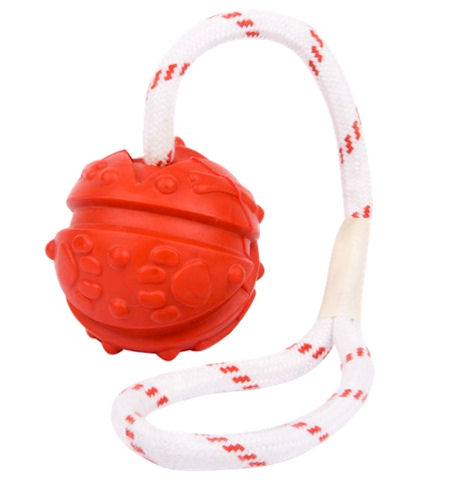 Similar to Everlasting Fun Ball on a Rope for training dogs