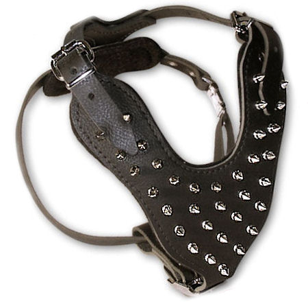 Spiked 2-Ply Latigo Harness for schutzhund dogs
