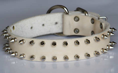 custom leather spiked dog collar 