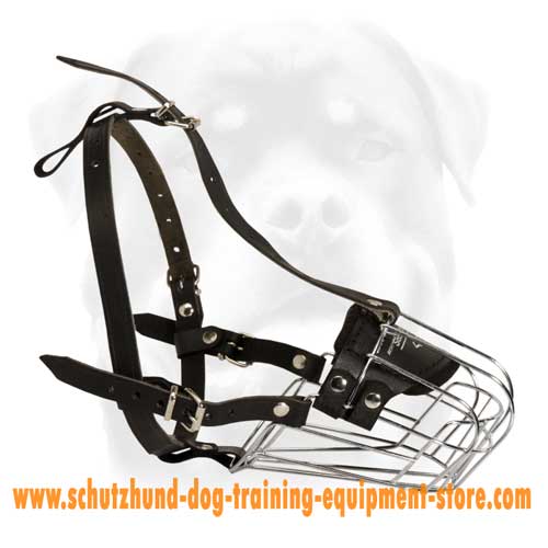 Leather Dog Muzzle Of Light Weight