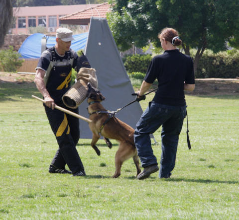 Schutzhund And Sport Bite Sleeve,Bite Sleeves Ideal For Schutzhud And Sport Training,2008 Bite Protection Sleeve - X-Sleeve 