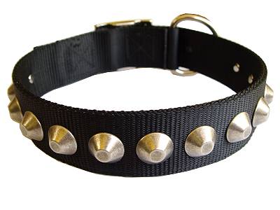 Gorgeous Wide Nylon Dog Collar With Nickle Pyramids for dog training or for dog owners