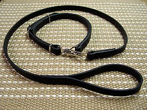 Schutzhund Training dog leash and collar (combo)  for dog training or for dog owners