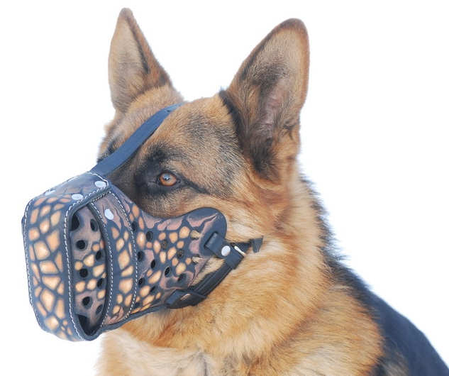 Magma Painted Leather Dog Muzzle M78 1096 Magma painted dog muzzle Schutzhund training equipment Schutzhund Bite Sleeves Schutzhund leashes harnesses muzzles Intermediate sleeve Hidden sleeve Protecti...