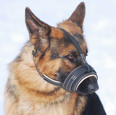 Comfortable Leather Dog Muzzle