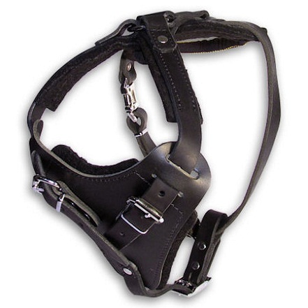 Padded Leather Dog Harness for Agitation Training