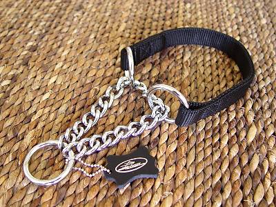 Best Collar - All Weather Nylon Martingale Dog Collar for dog training or for dog owners