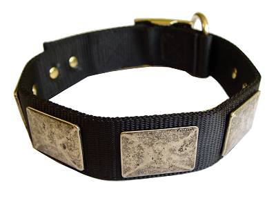 Nylon Dog Collar For Large and Medium Breeds With Vintage Plates for dog training or for dog owners