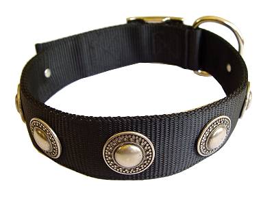 Nylon Dog collar with silver conchos for dog training or for dog owners