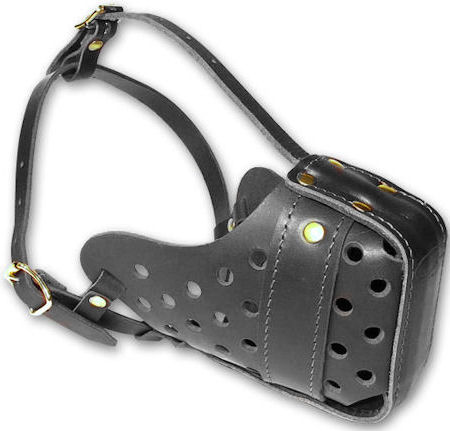 Frabo online dog equipment