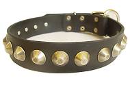 Dog collar -Gorgeous Wide Leather Dog Collar With Brass Pyramids