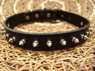 Medium Leather Spiked Dog Collar- 1 Row of spikes collar