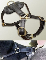 Right Leather tracking harnesses for Schutzhund Training