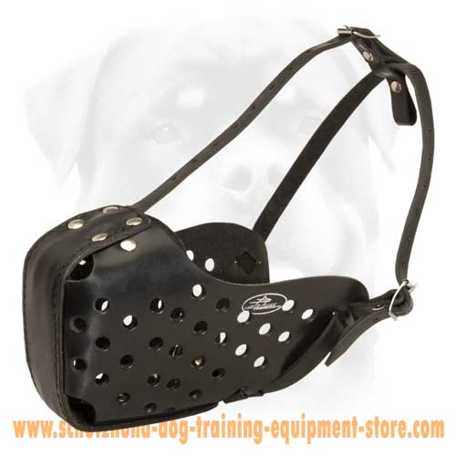 Exclusive Leather Dog Muzzle