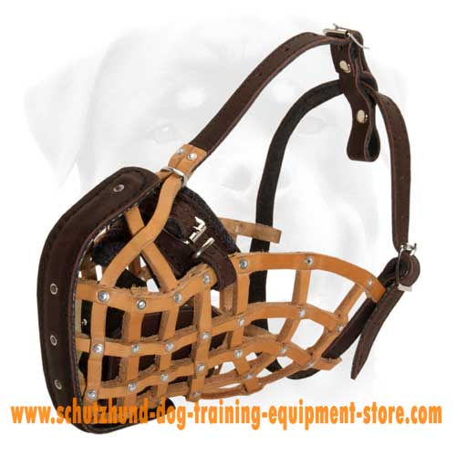 Amazing Leather Dog Muzzle