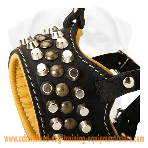 Admirable Leather Dog Muzzle