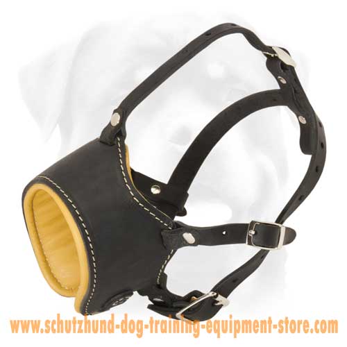 Great Nappa Padded Leather Dog Muzzle