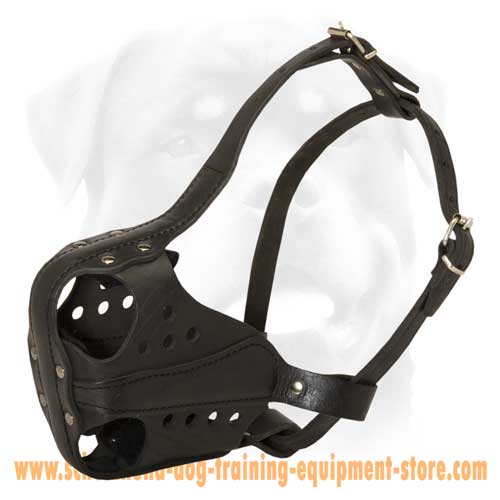 Strict Leather Dog Muzzle