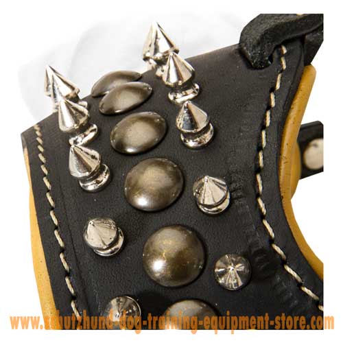 Superior Leather Dog Muzzle