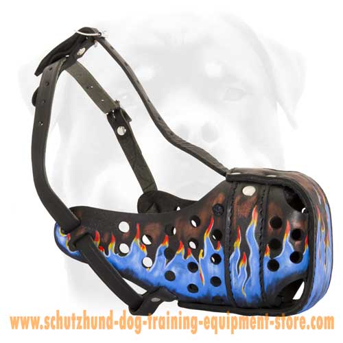 Leather Dog Muzzle For Stylish Walking