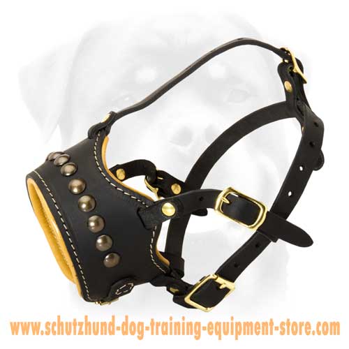 Leather Dog Muzzle For Stylish Dogs