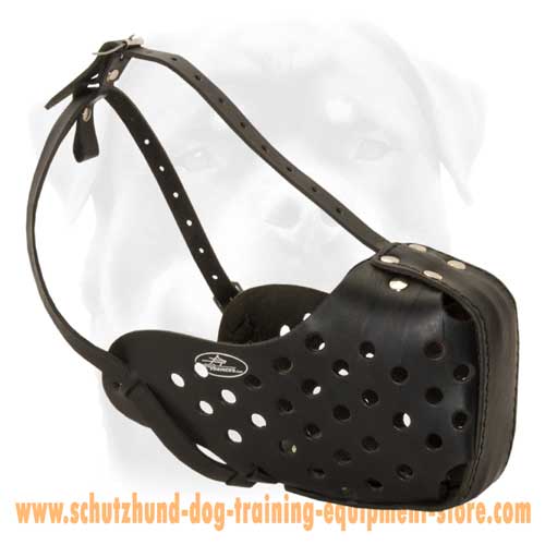 Leather Dog Muzzle For Safe Walking