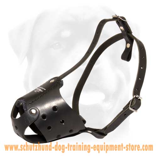Beautiful Leather Dog Muzzle