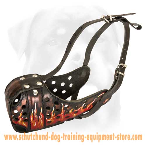 Superiour Leather Dog Muzzle