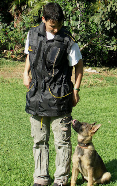 Ultimate Dog Training Vest-Dog trainer Supplies