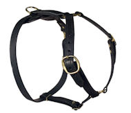 SENSATION Dog Harness for walking