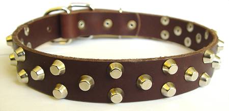 best leather dog collar 