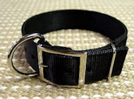 2 Ply Nylon Dog Collar Schutzhund Training