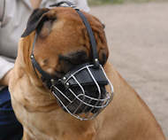 Bullmastiff Big Wire Basket dog muzzle